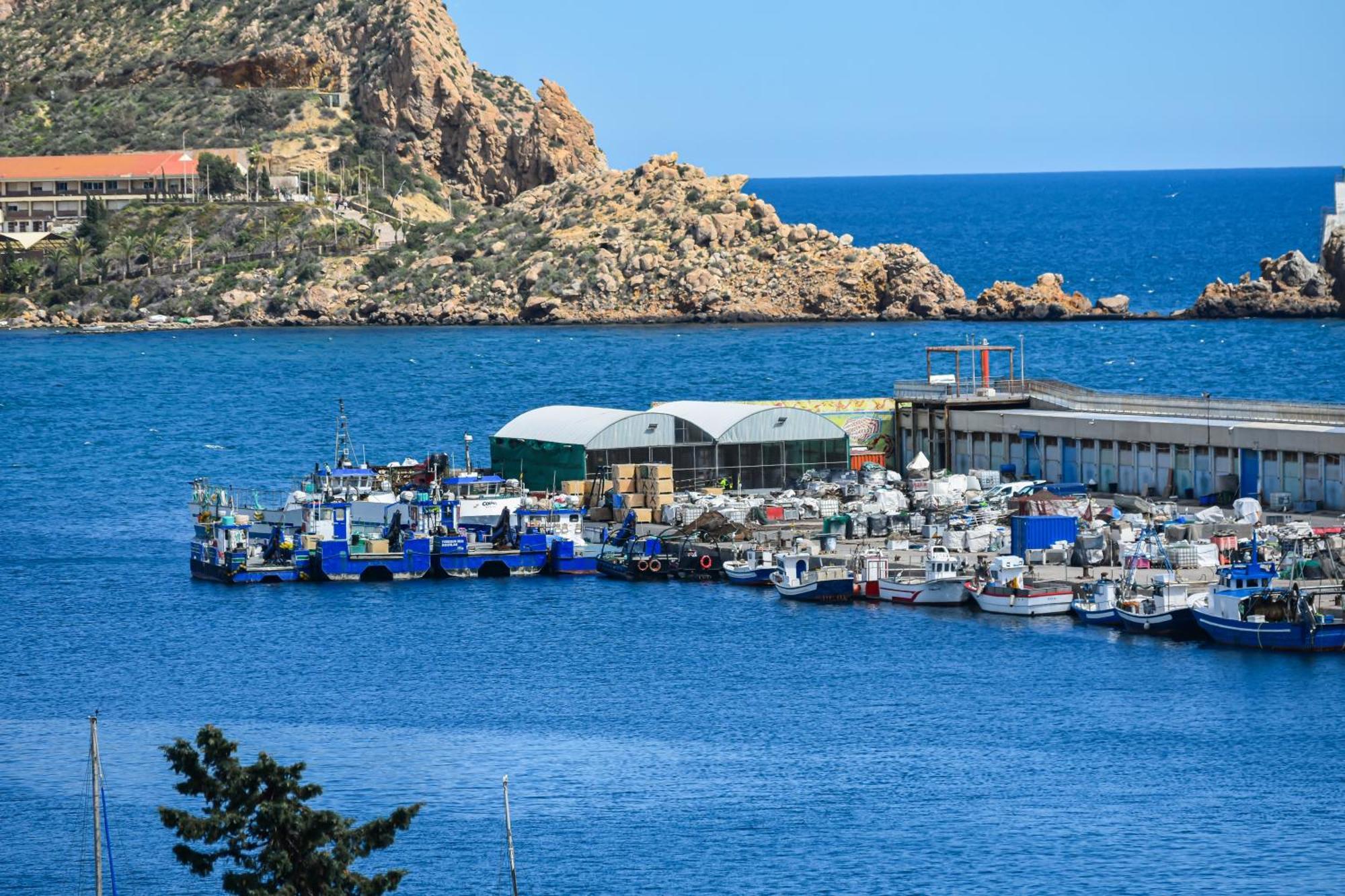 Dream View Aguilas - By Aloha Palma Exterior photo